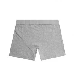 BOYS ACCESSORIES New Arrivals KIDS ROCKBAND LOGO UNDERWEAR-GREY