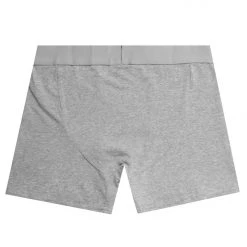 MENS ACCESSORIES ROCKBAND LOGO UNDERWEAR-GREY